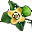 Kwiat Kaki.png