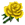 Żółta Róża.png